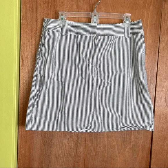 Ann Taylor Loft Seersucker Striped Skirt
• Size 10 - Picture 1 of 4